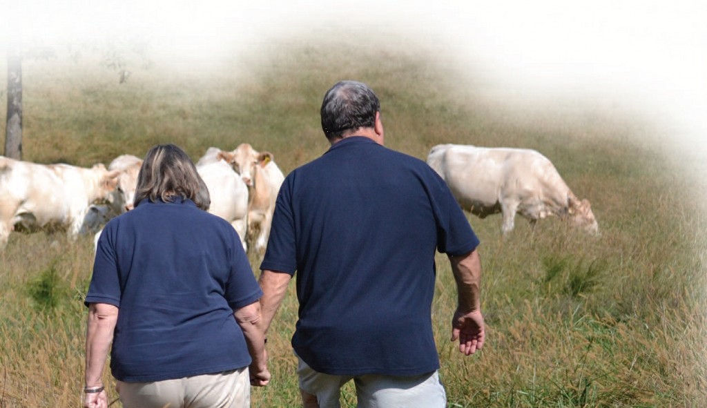 Wayne bennett Charolais